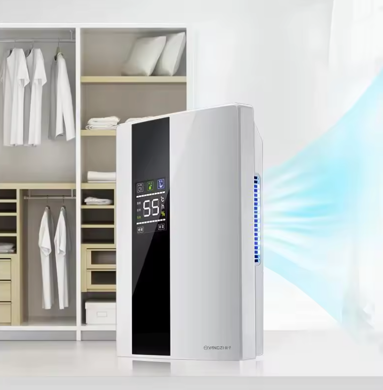 Déshumidificateur et Purificateur 2 en 1