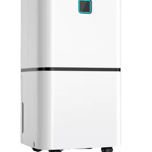 Déshumidificateur portable 12L/Jour