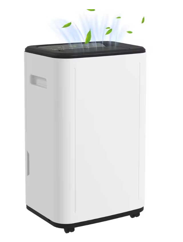 Déshumidificateur Électrique 20L/Jour