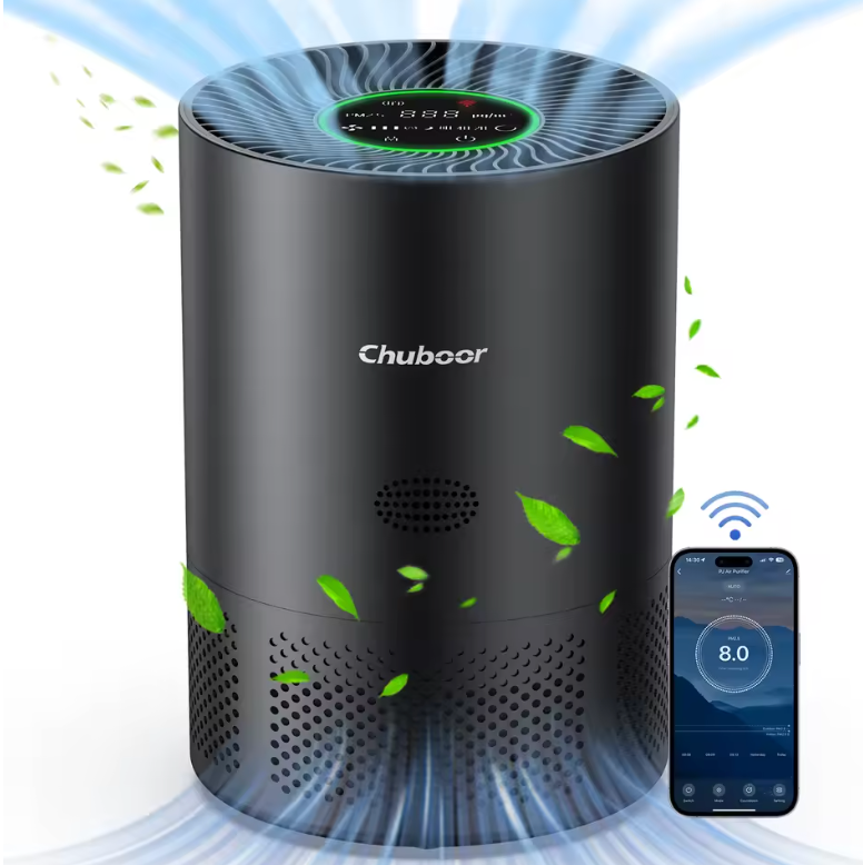 Purificateur d'air domestique