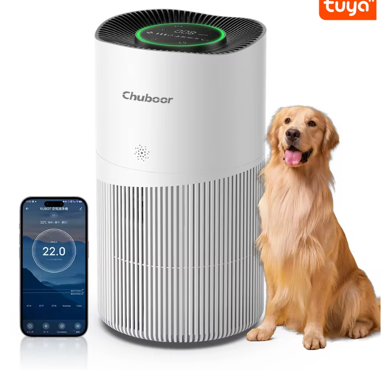 Purificateur d'air